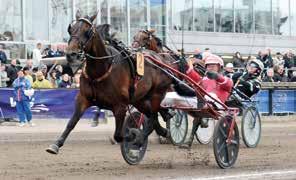 C. Business Eriksson C / - /, Grön, vitt elprti, vinkel&ärmr; vit Lrsen H H / - /, Uhrberg Thoms (Cron Fre) Uhrberg T H / - /, g RITINA* (DK), M, AK,br. s.