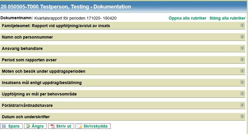 I övrigt fyller du i uppgifter i de övriga panelerna utifrån verksamhetens rutiner för att skriva en rapport.