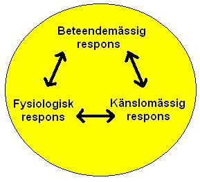 Kronisk stress och dåligt hanterad stress bakom sjukdom, förtida död och ogynnsamma beteenden Söka skaffa högre status + coping Fientlighet, negativism STRESS Cynism, vårdslöshet