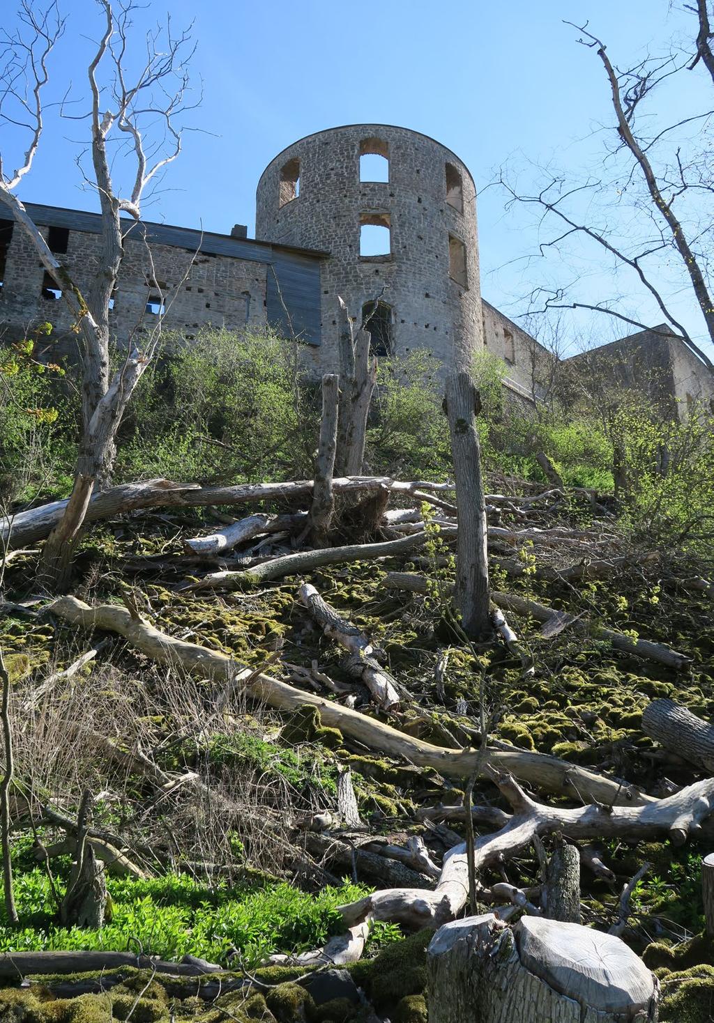 Borgholms slottsruin