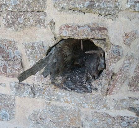 Jungfrutornets fasad mot väster efter genomförd renovering.