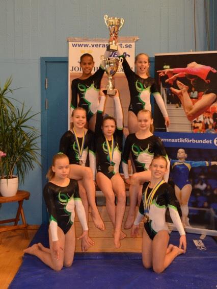 Två lagmedaljer till Hammarbygymnasterna 2013-05-11 Arrangörsföreningen Hammarbygymnasterna tog guld och silver i lag, bronset gick till Tidaholm.