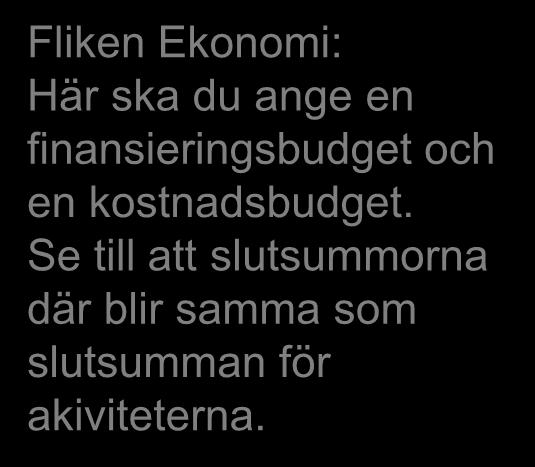 finansieringsbudget och en kostnadsbudget.