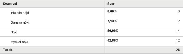 Q1: Hur upplevde du informationen