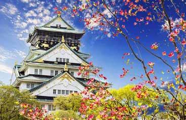 Eftermiddagen ägnas åt Meiji Shrine, ett shinto-tempel, dedikerat till ett kejsarpar som dog i början av 1900-talet.