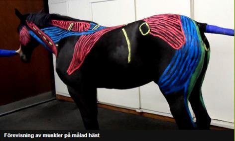 Där kan man delta i tävlingar, bli bjuden på frukt och få skolinformation.