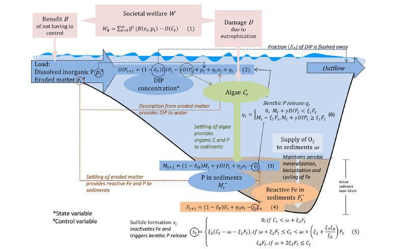 Det kombinerade jordmåns & vattensystemet i vilket fosfor tillsammans
