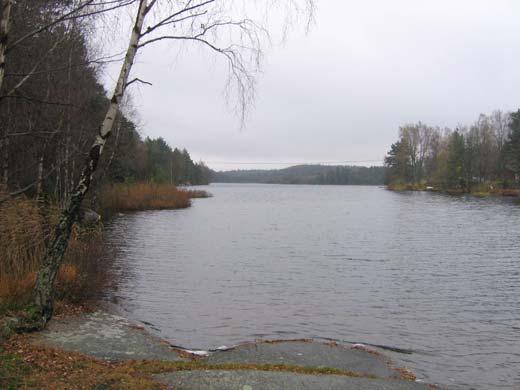 På västra sidan finns ett bostadsområde vars tomter sträcker sig ner till sjön.