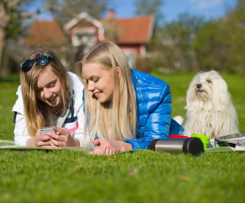 Visit Östergötland kommunikation stimulerar affärer i