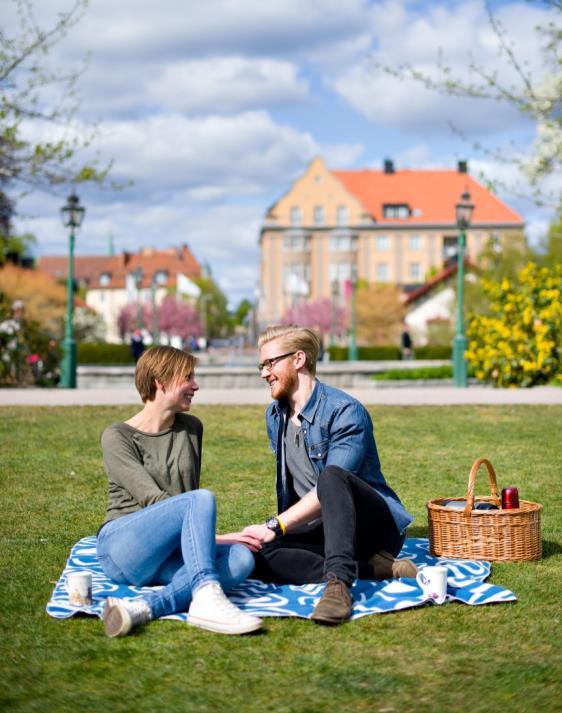 Aktörernas ansvar och åtaganden