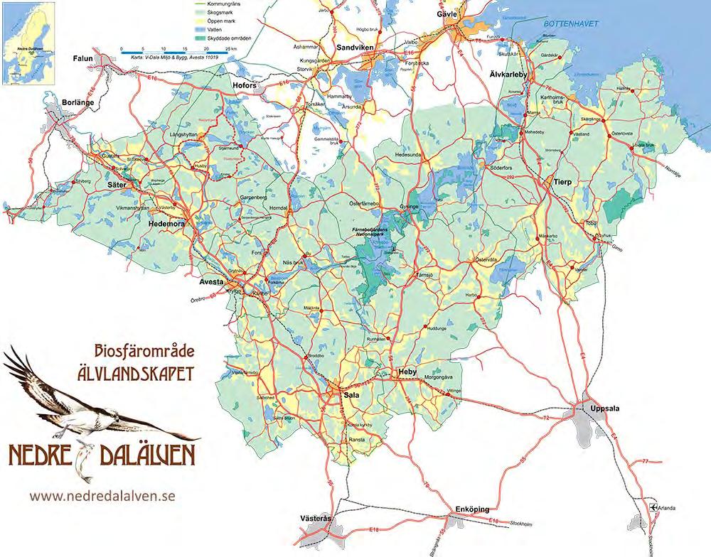 BAKGRUND Älvlandskapet Nedre Dalälven utnämndes av Unesco till biosfärområde 2011 och blev därmed det tredje området i landet som fått den statusen.