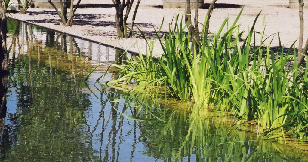 Stålkant runt plantering Gjuten betongkant (runt damm) Naturstensblock Naturstensplattor