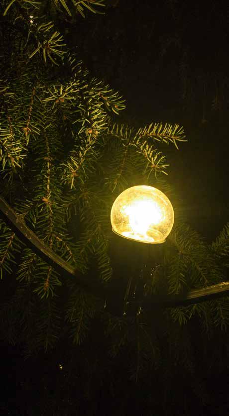 JULGRANSBELYSNING Julgransbelysning För att underlätta att dekorera den stora julgranen har vi tagit fram en speciell flatkabelsslinga med B22-lamphållare.
