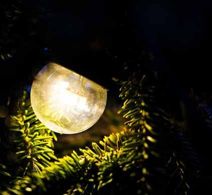 LED LED-lampor Våra nya effektiva LED lampor passar i traditionell julgransbelysning.