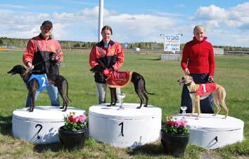 Midlanda-whippen: 1:a Xavi ägare: Kennel Goat-Wool, SHS, 2:a Xanté ägare: Kennel Goat-Wool, SHS, 3:a Met Anna-Bolena ägare: Catrin Sandgren, MiHK Vi lyfter på hatten för alla hundägare, tränare,