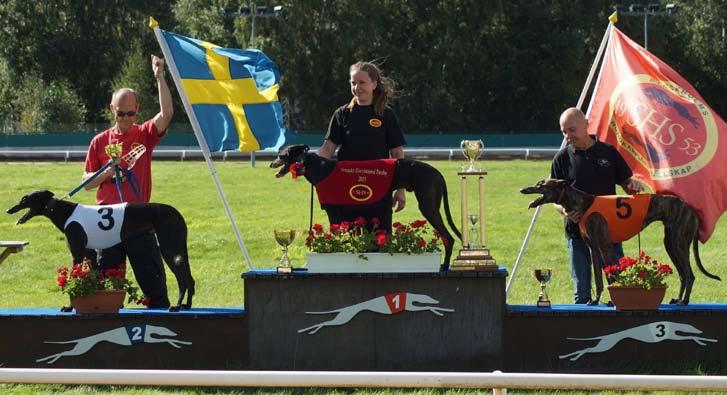 25 0 Åkersberga 2015-08-29 Lopp 01 320 m Åkers Kanal GP Race K4 1 Rocker Mac (3) (K5) 19.87 550 2 Agamemnon (4) (K5) 19.93 350 3 I Am Pollux (6) (K5) 20.21 0 4 Sabra Cadabra (5) (K5) 20.