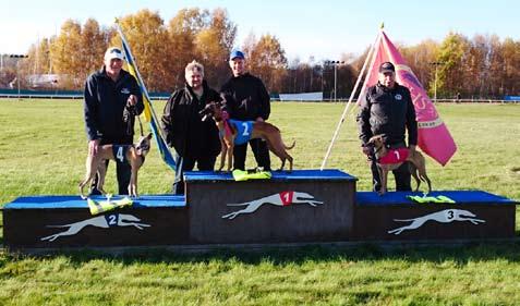 startfältet och har i år bl a vunnit CGRC Puppy Classics i Simrishamn, varit 2:a i DERBYT och 3:a i Svenskt Uppfödningslopp och vunnit lopp på sex olika banor. Han har i år noterat 12 klass 1 tider.