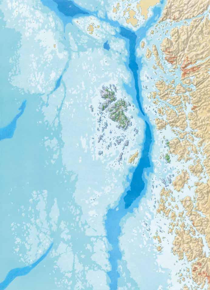 E6 Ögonkorall. Sveriges enda levande korallrev finns på 8 meters djup i nationalparkens nordligaste del.