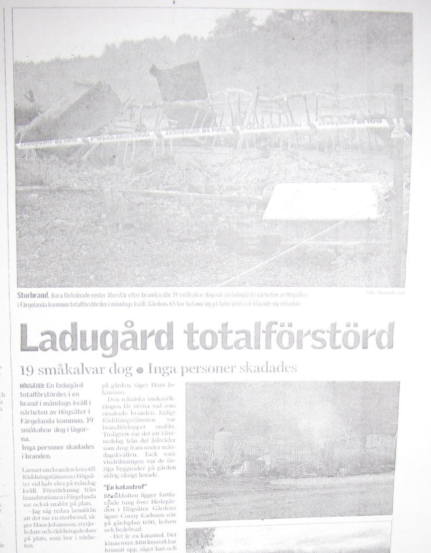 Byggbeslut togs för 120 kor i robotstall i april 2008 Gamla ladugården ungdjur, kalvar och ej