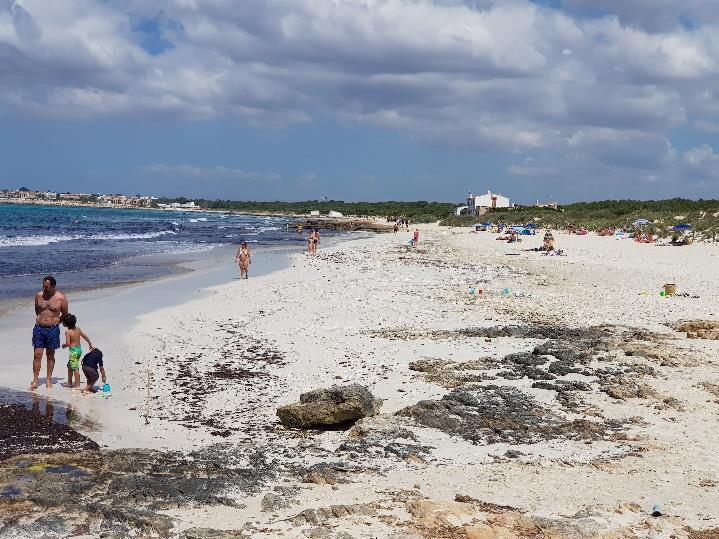 Spaning på Es Trenc Många undrar vad som händer med vår vackra strand Es Trenc. Den har blivit naturpark, vilket är lite högre än skyddad strand som det var förut.