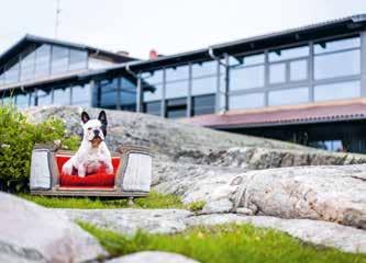 Våra hotellrum Saker som riktigt sköna sängar, fräscha badrum, skrivbord och bekväma sittmöjligheter kan tyckas vara självklart men väl så viktigt.