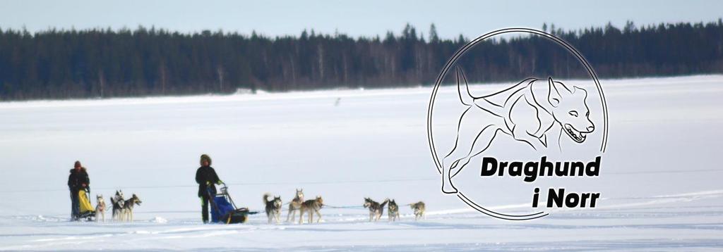 DRAGHUNDSAKTIVITETER Välkommen att pröva på olika draghundsaktiviteter på Viteheden.