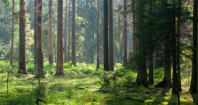 Rankhus etapp 1, Kungsängen, Upplands-Bro Markförhållanden och Stockholm 2017-03-06, rev