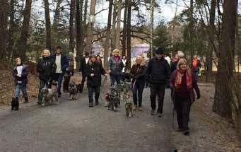 Schnauzerpromenad i Hagaparken i Stockholm En lördag i mars tog tjugo hundar sina