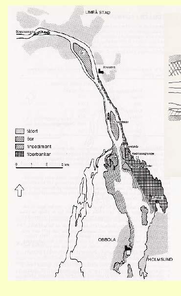 Exempel: Aktuella objekt i Umeå PCB Dioxin PCB Hg PAH & CCA - Tvärån och Gimonäs ind.omr.