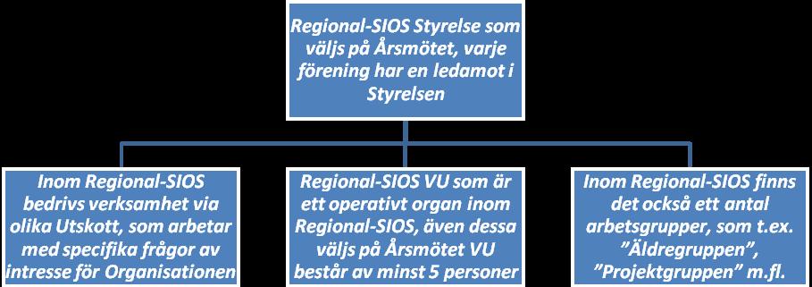Verksamhetsområde Regional-SIOS Göteborg i Västra Götalandsregionen har under 2013 bedrivit verksamhet i huvudsak enligt antagande av verksamhetsplanen på SIOS