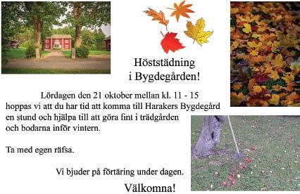 Rapport från Höstmarknad med Loppis i Hallsta By Söndag 1 oktober arrangerade Romfartuna Hembygdsförening Höstmarknad med Loppis i