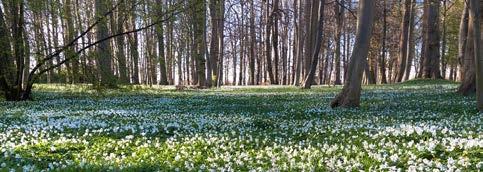 detaljplanebestämmelser och beskrivningar. Kommunkansliet håller stängt Torsdagen den 19 april är kommunkansliet stängt. Personalen deltar i gemensam fortbildning.