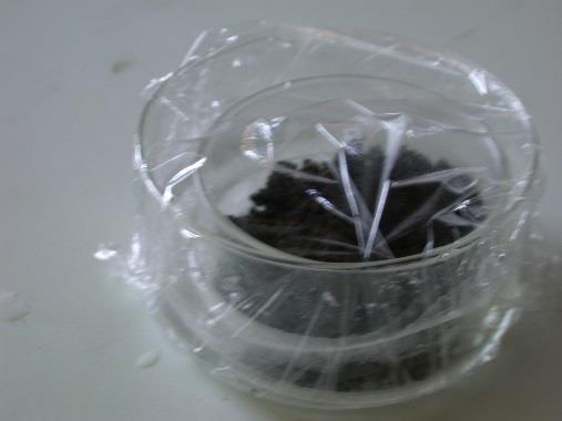 Fyll en bägare med kalkvatten (kalciumhydroxid i vatten) 2. Blås med ett sugrör genom lösningen. Den grumlas av att kaliumkarbonat bildas CO2(g) + Ca(OH)2 CaCO3(s) + H2O Vad gör jordbakterierna? 3.