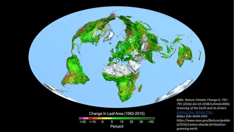 Det finns alltså inga tecken på att de stigande halterna av koldioxid i atmosfären har några negativa effekter på klimatet.