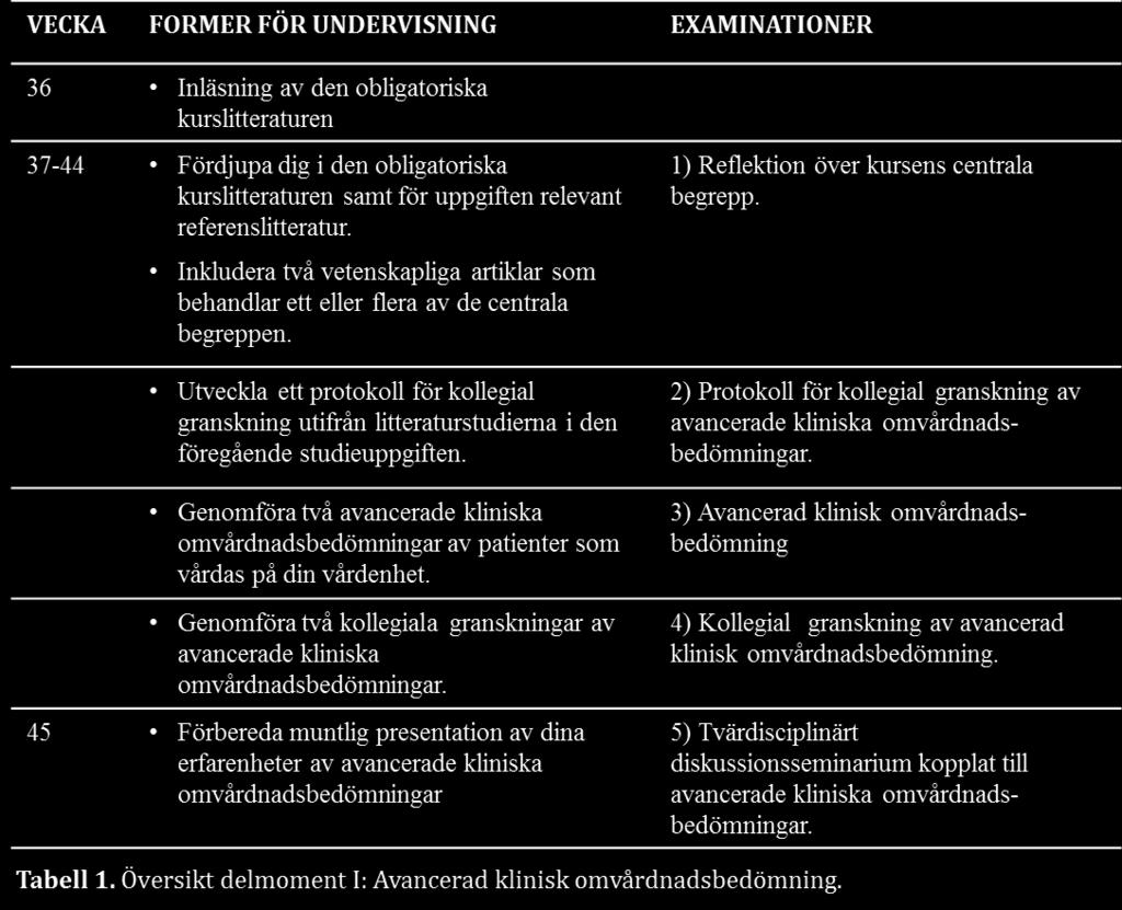 EXAMINATIONER 1) Reflektion över kursens centrala begrepp Examinerande uppgift I denna uppgift arbetar du självständigt.