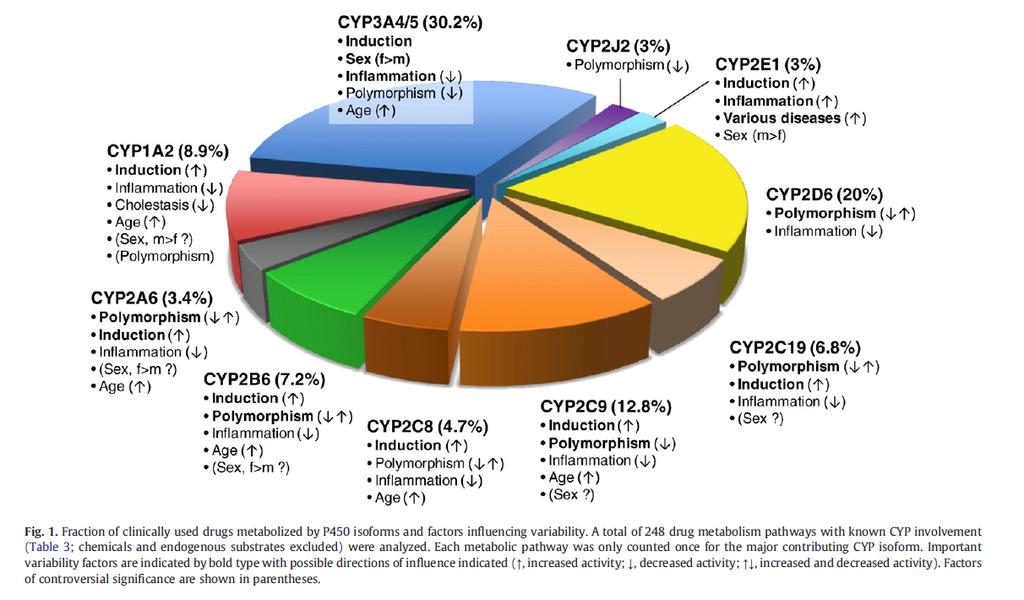 CYP450 From Zanger & Schwab.