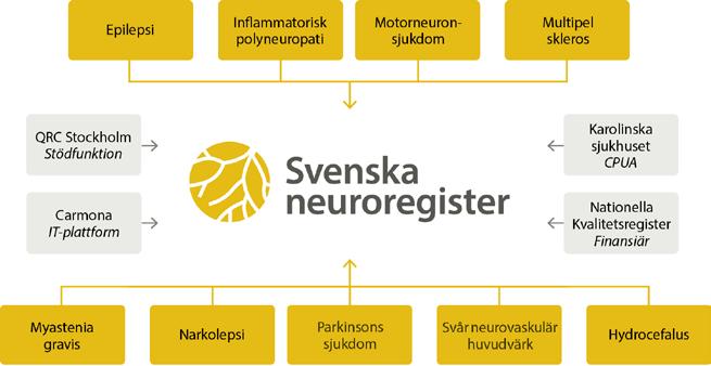 Från MS-register till Neurologiregister Bakgrund och syfte Vid mitten av 1990-talet inleddes ett samarbete mellan samtliga svenska neurologiska universitetskliniker för att bygga upp en gemensam