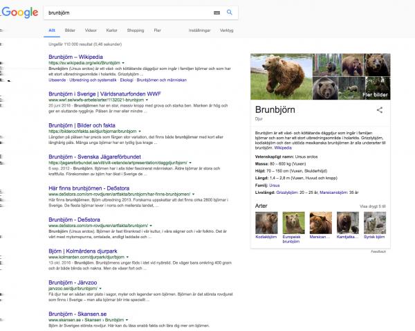 Figur 2: Google-sökning Brunbjörn 2017 Frågor att besvara 1. De två sökningarna på ordet brunbjörn är olika varandra, hur då? 2. Varför är de olika tror du?