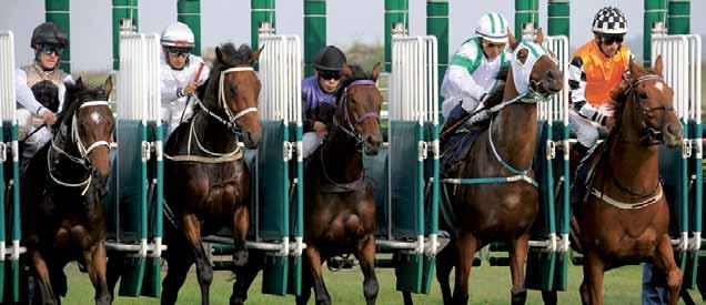 Kommande tävlingsdagar på Göteborg Galopp 2018 SÖNDAG 16 SEPTEMBER KL 12.45 SÖNDAG 30 SEPTEMBER KL 12.