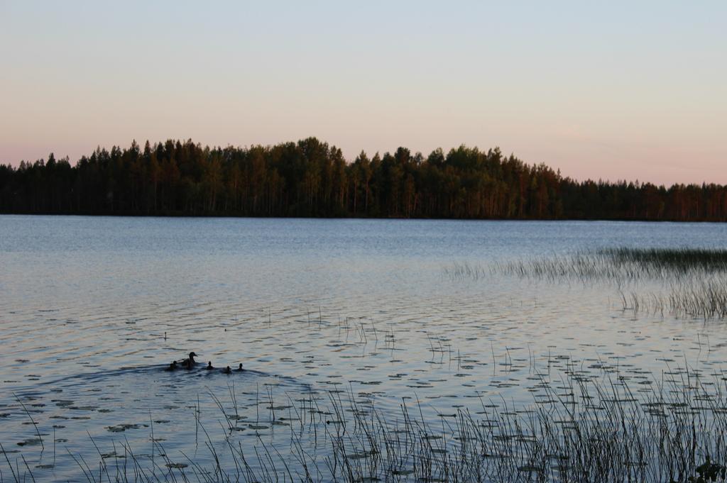 Petikträsk Petikträsk är en by högt och vackert belägen invid sjön Petikträsket, någon kilometer från Skellefteälven. Petikträsk ligger fem mil nordväst om Boliden.