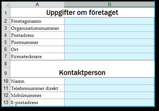 I inrapporteringsfilen är det de blå fälten som ska fyllas i. Samtliga belopp ska anges i tusental kronor. I flertalet flikar kan företaget lämna kommentarer i ett särskilt fält. Detta för att t.ex.