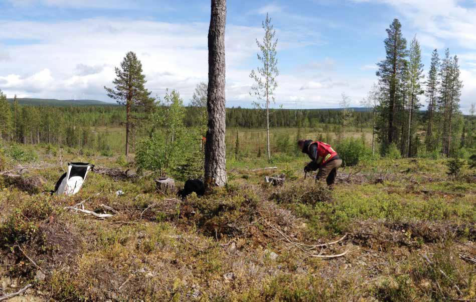 Moränprovtagning i fält. FOTO: GEOPOOL barmarkssäsong.