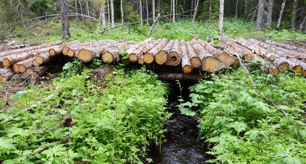 Tips och erfarenheter för att undvika risk för markskador Följande rekommendationer och förebyggande åtgärder, kan minska risken för markskador eller begränsa omfattningen på skadorna: Markens