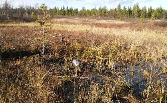 6.8.2 Stakkäppar och markeringar i fält Vid geofysiska mätningar eller inmätning av borrplatser används ibland stakkäppar som markeringar.