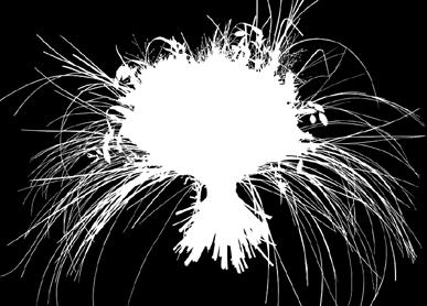 Adagio-Allegro moderato-poco adagio Scherzo: Allegro moderato-presto-maestoso-allegro Den moderna blombutiken Våra prisbelönade florister