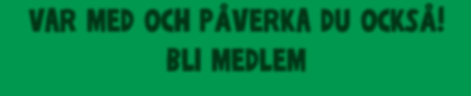 I slutet av augusti presenteras snabbutredningen om för- och nackdelar inför eventuellt beslut om utökning av Lillåhemsprojektet.