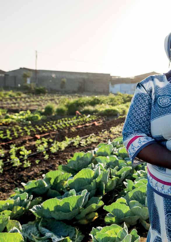 Syngentas uppförandekod 14 Miljöpåverkan 15 Biologisk