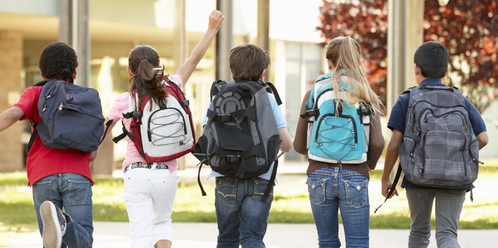 Studiehandledning möjliggör att eleven får kunskaper och begrepp i olika ämnen att eleven lär sig ord och begrepp på flera språk att eleven lär sig studieteknik att eleven utvecklar både modersmål