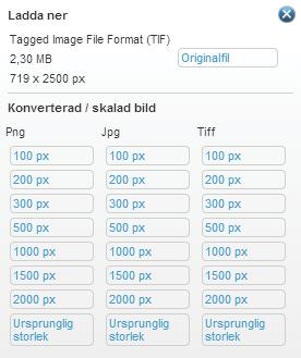 - Mitt företag har alltid både marknadsbilder och spacebilder fotograferade som No-Plunge (rakt framifrån), måste jag ladda upp till bägge flikarna för marknadsbilder och spacebilder?