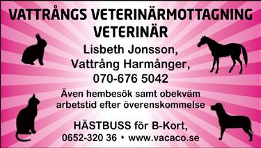 se 0650-74 00 80, 070-669 4038 Körkort för bil